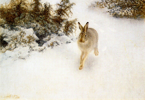 Bruno Liljefors, Winter Hare