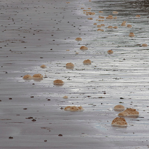 Struan Gray � Waters � Foam